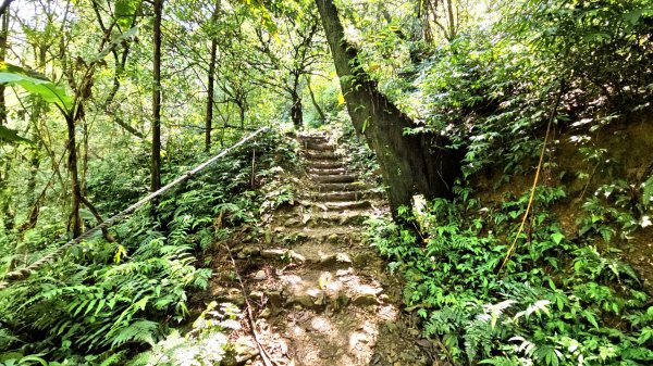 員山冷埤步道+粗坑山2493850