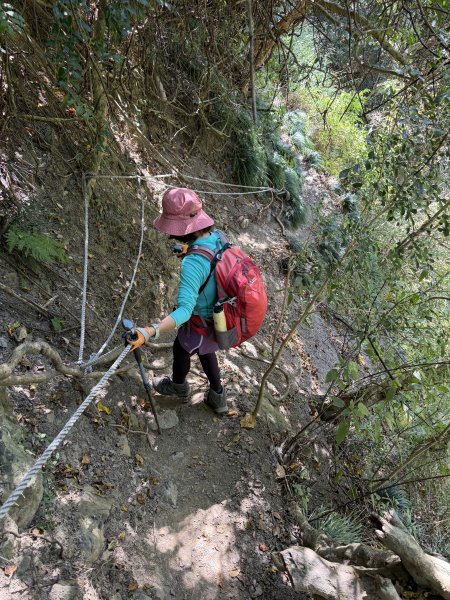 女仍山+帽子山O繞 202602273009549