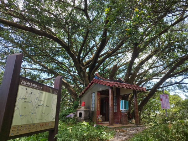 [新北石門][三]土地公嶺、坑頭山(九芎林山)、坑頭山西北(九芎林山西北)