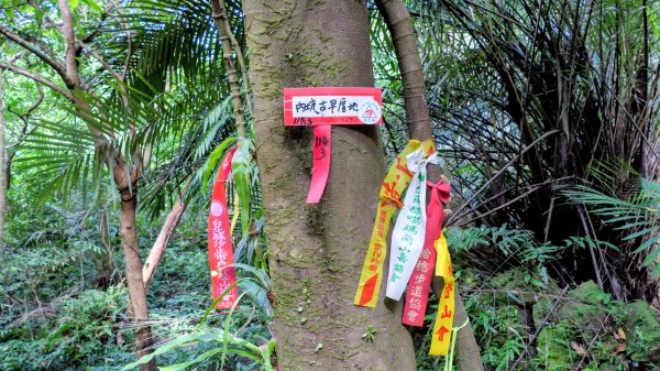 梅竹蹊山,麻竹坑山,苕谷瀑布,蝙蝠山2883316