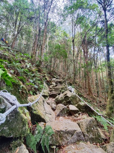 橫沙笛縱走2668681