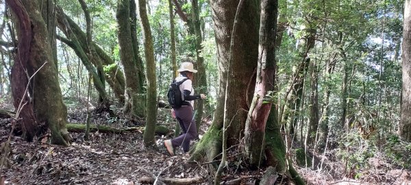 20241127特富野古道+梯子板山2659345