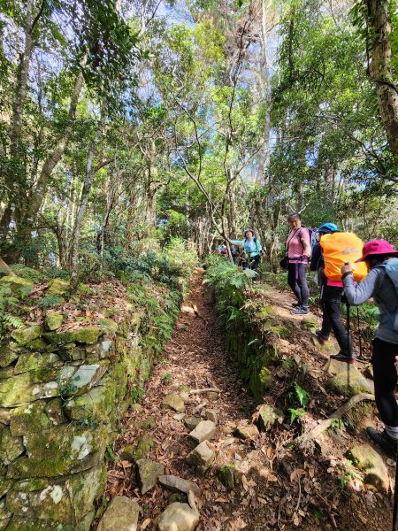 112/2/11芝生毛台山、屯野生炮台2148105