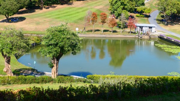 高雄冬日遊樂園3001972