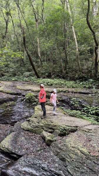 20250629三峽雲森瀑布2837787