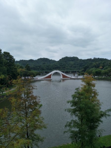 大湖公園(防災公園)1873656