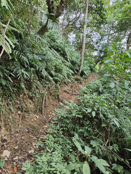 2023.12.27 大溪金面山2839304