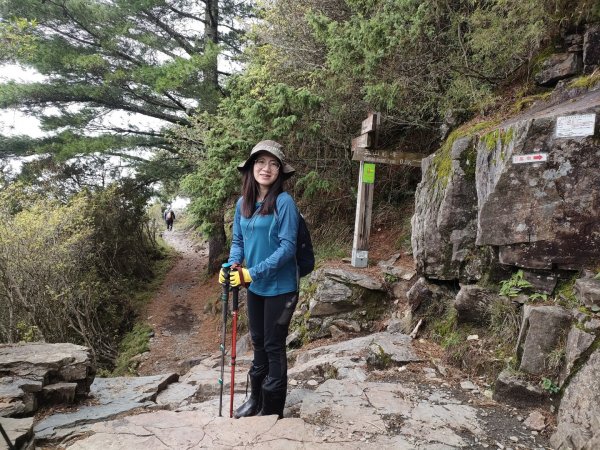 1100822 玉山前峰1455026