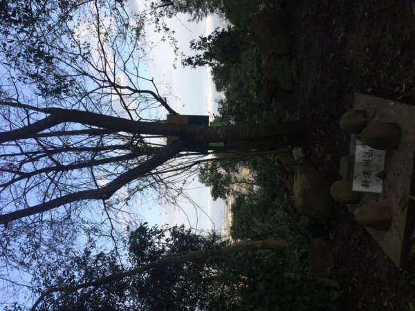 石溪（石門勝景、溪洲山2717827