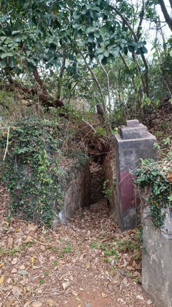 烈嶼麒麟山森林公園步道1889827