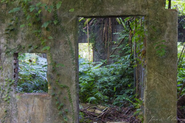 [新北]白雞山與裕峰煤礦遺址2891871