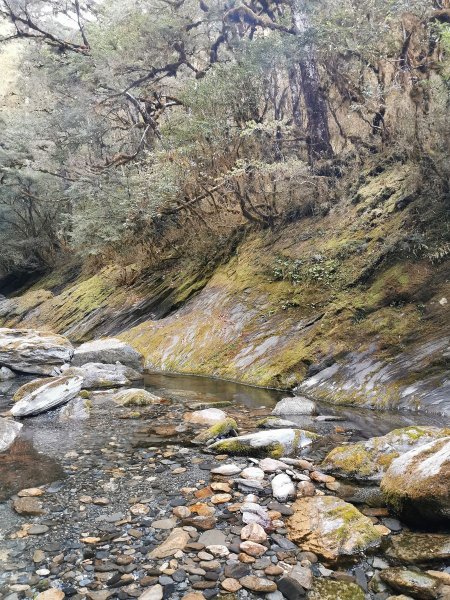 南三段縱走-百里長征在雲端-丹大東郡橫斷908863