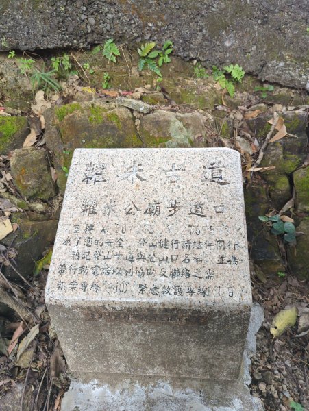 2022.03.20－臺北大縱走第六段1647619