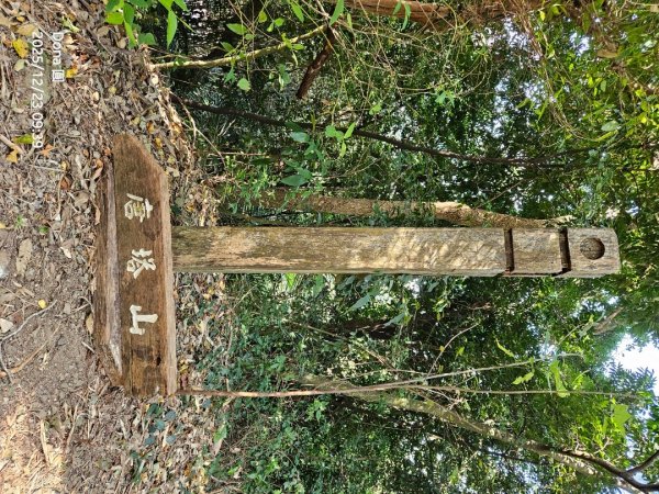 20251223芎林文林古道O走+雞寮坑山+芎林顯伯公野餐2975918