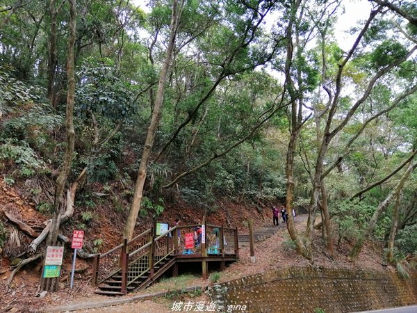 【南投】散步小百岳。 小百岳集起來。 編號48小百岳~橫山