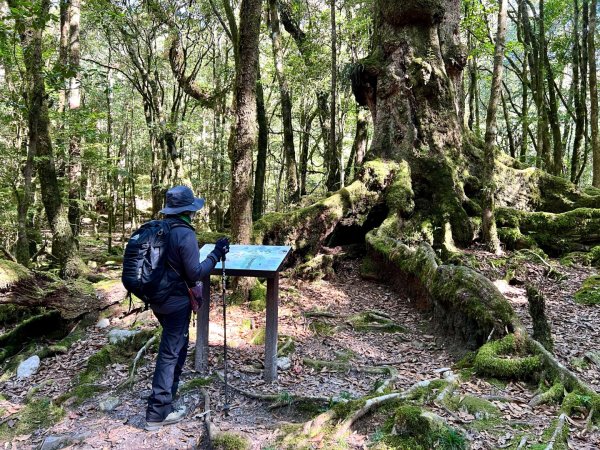 船型山環走大雪山210林道2978041