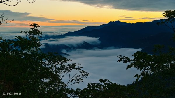 #馬那邦山 #琉璃光 #日出 #雲海 #山羌 #楓葉 10/25 & 11/12924587