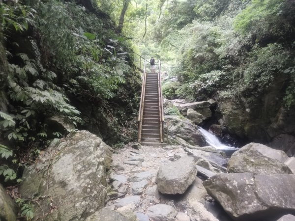 1150728新寮瀑布步道3096890