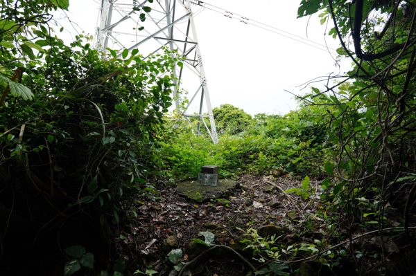 臺北 士林 玉稠湖山、石角山、白雲山、天母山2496000