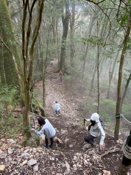 2026/02/08馬崙山3008155