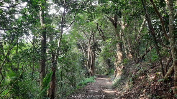 《苗栗》關刀出關｜三義關刀山出關古道(聖關段-苗56)202509052878771