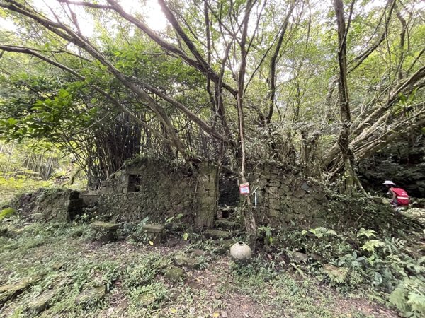 中坑古道西線(張家古厝)2899248