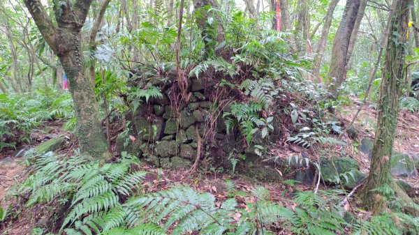 龍虎雙碑縱走2989652