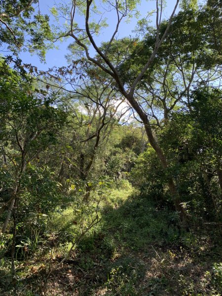 20250130屏東北湖呂山-古華山2705897