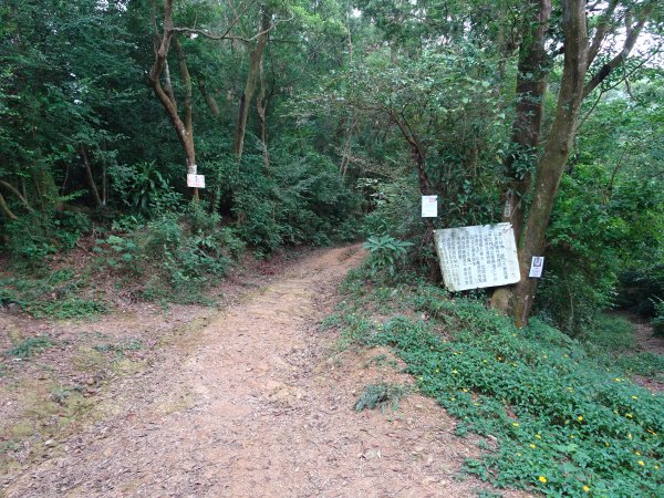 台灣小百岳-屏東笠頂山、棚集山和高雄之旅1169837