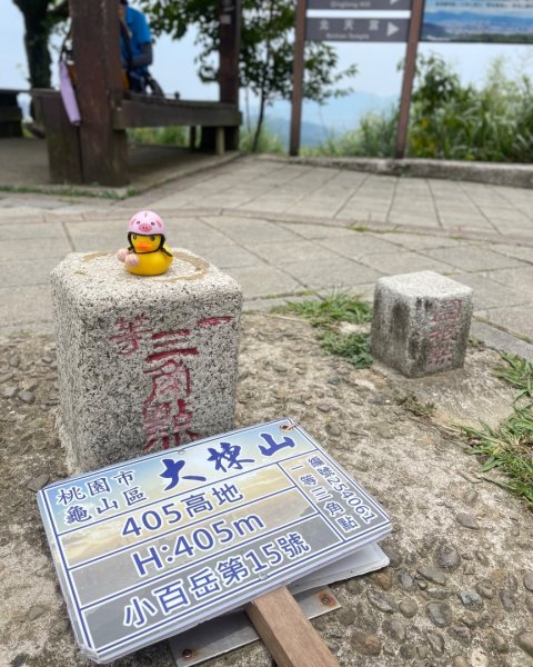 微笑山⛰️線-大棟-二格山-五分山-天上山-鳶山💎12條步道完成💙2834115