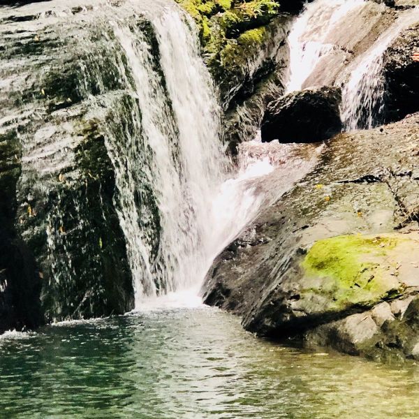 三峽雲森瀑布386464