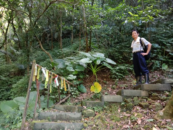 坪林區南豹子廚山+豹子廚古道+北豹子廚山2900476