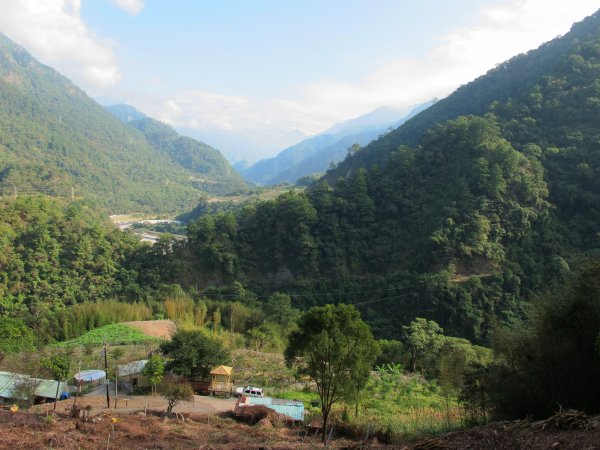 四壯士神木步道x阿冷山(北北峰)787458