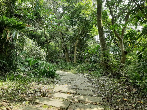 小百岳寶石〡No.16南勢角山13南港山953553