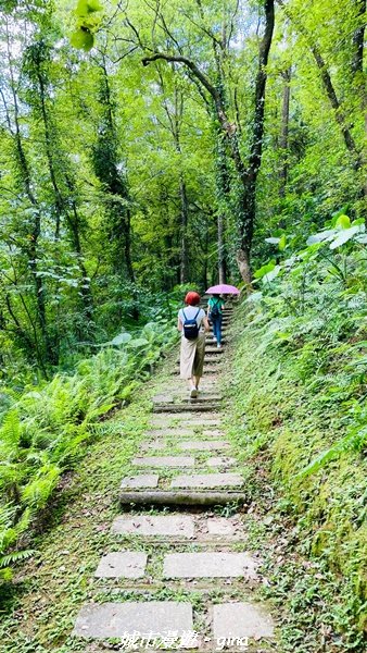 【花蓮壽豐】秀麗山景。 池南國家森林遊樂區森林浴步道2266017