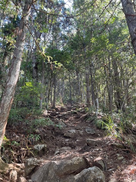 谷關七雄 《 馬崙山 》2025 09/062879766