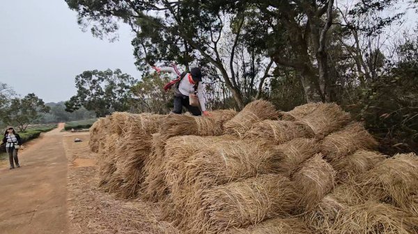20260127三通嶺山.三義山(大桁茂山).慈濟山.大坪山大O走2990756
