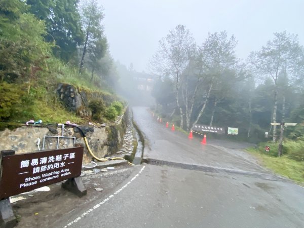 太平山山毛櫸步道與浪漫金黃相遇    2021/11/161519107