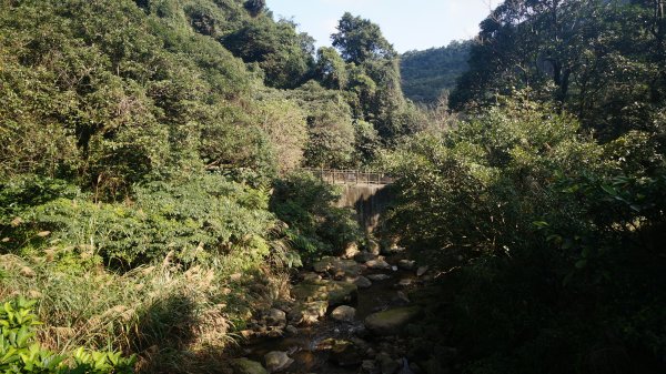 暖東峽谷 暖東舊道 五分山步道連走1261675