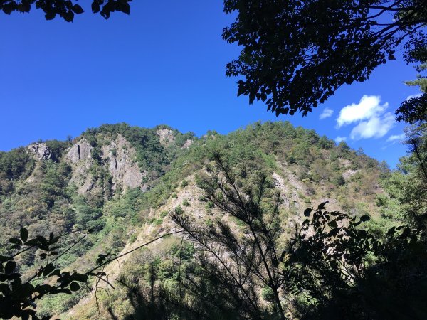 20161119_谷關七雄之四-波津加山873763