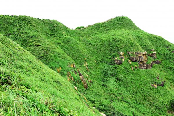 20190504鼻頭角步道  582819