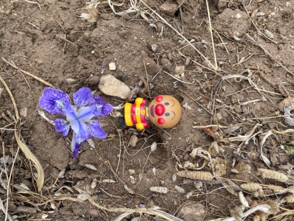 尼泊爾聖母峰EBC基地營❤️風景篇2791066