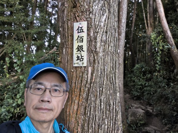 金柑樹、嶺頭山、忘憂森林2956103