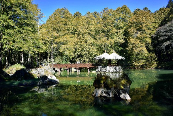 20260207阿里山健行追公車3010590