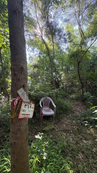 美濃雙溪樹木園（九芎林山2905636