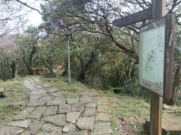 大尖山櫻花-龍船洞-秀峰瀑布2733743