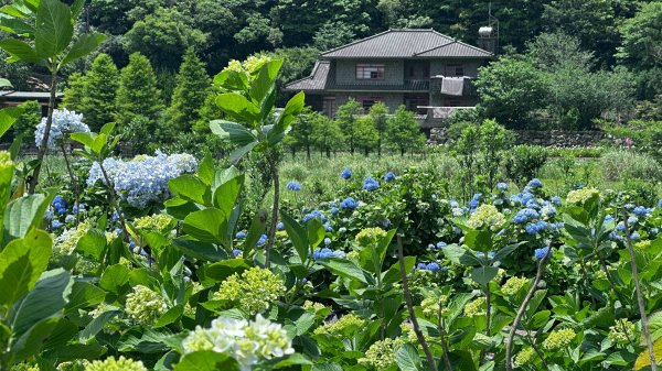 台北大縱走第二段2786946