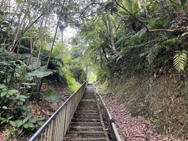 [微笑山線_ 第十段] 2025_0914 五分山系_菁桐煤礦段2889833