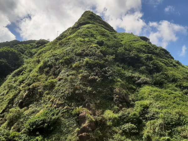 金瓜石，與奈良美智的詩意邂逅2883192