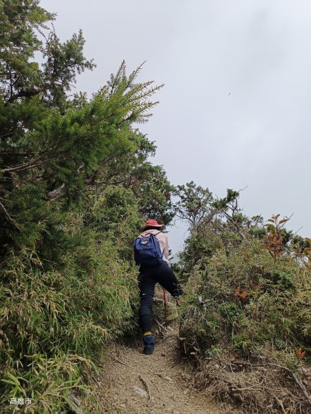 2023探索關山嶺山聚焦雲霧世界2344165